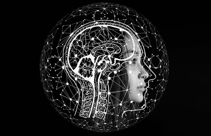 打造第二大腦　資訊時代下的高效學習術
